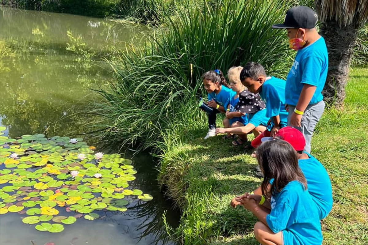 Kids looking at the pond