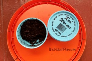 preparing a bin for worm composting, DIY