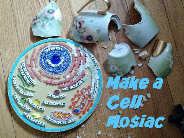 Make a Cell Mosiac with Rachel Nador on www.TheMakerMom.com