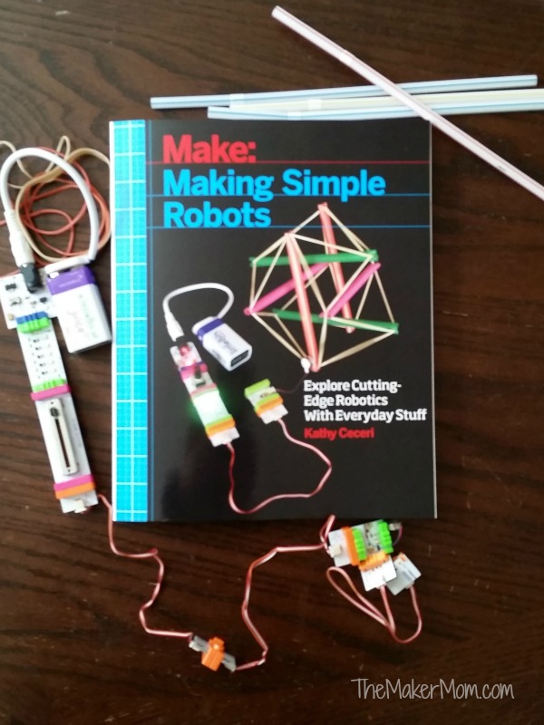 Kathy Ceceri's Making Simple Robots on www.TheMakerMom.com.