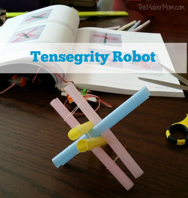 Kathy Ceceri's Making Simple Robots on www.TheMakerMom.com.