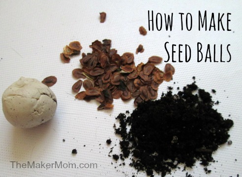 How to make seed balls on www.www.themakermom.com